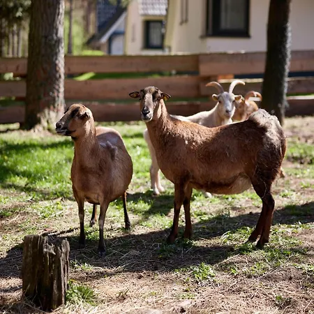 Doppelhaushaelfte Im Naturresort *